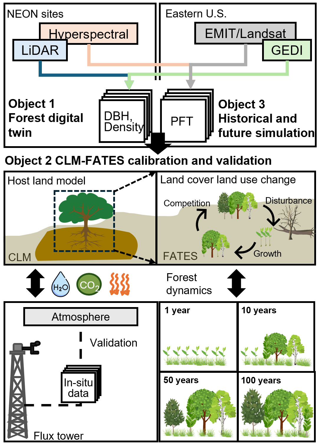 We frist aim to build forest digital twins using Landsat, GEDI, EMIT, and NEON AOP products from NEON sites to the entire Eastern U.S. We will then calibrate and validate the CLM-FATES model using in-situ data at NEON. Finally, we generate continental-scale predictions under different climate change and land cover land use change scenarios to facilitate decision-making and conservation planning.