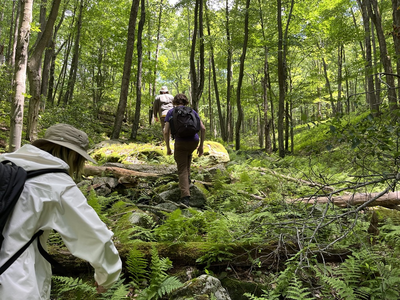 Hiking in the forest is an advanture!