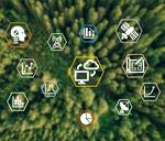 Ecosystem monitoring using deep learning