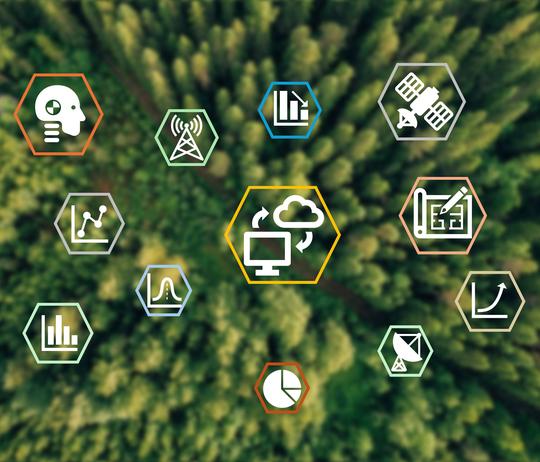 Ecosystem monitoring using deep learning