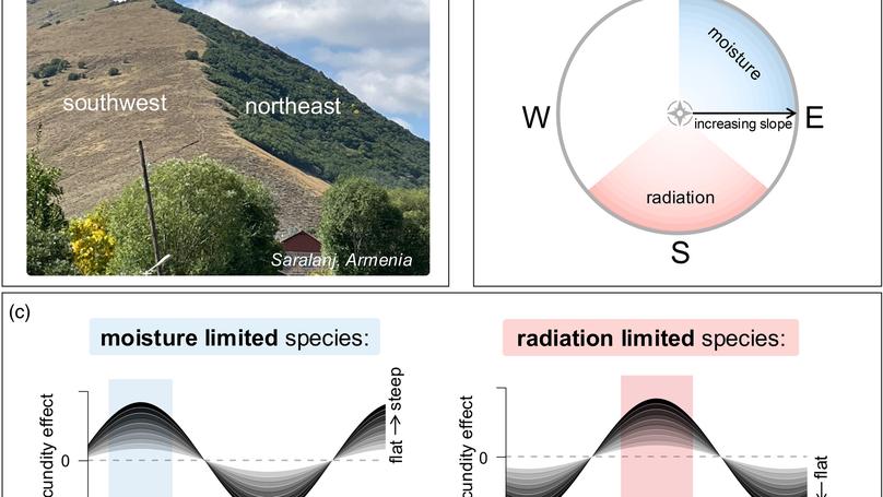 Fecundity and terrain-climate interactions that shape tree niche differences across North America and Europe
