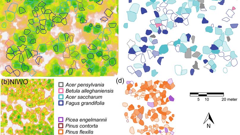 Remotely sensed crown nutrient concentrations modulate forest reproduction across the contiguous United States