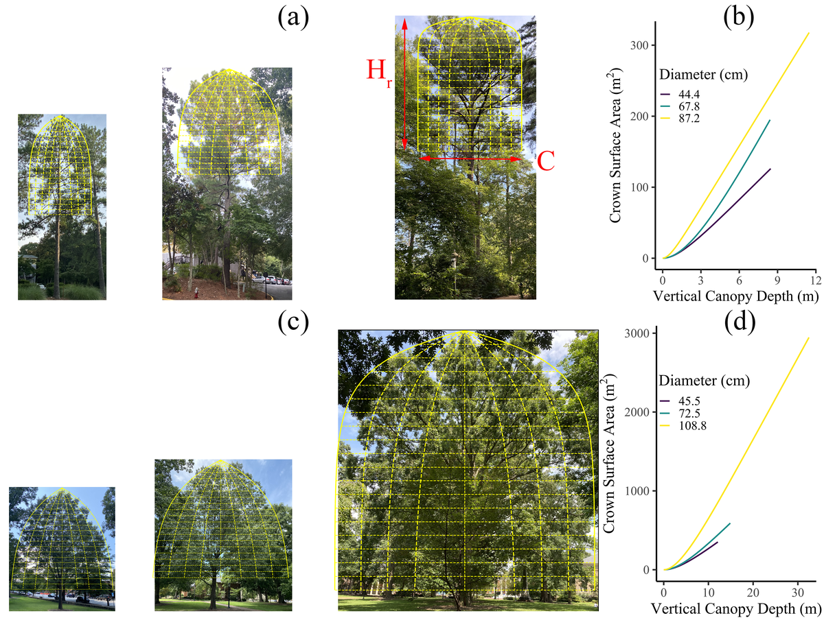 Is there tree senescence? The fecundity evidence | Qiu lab at Duke ...