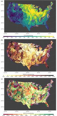 Accuracy assessment of the BHST-LSP model for spring phenology based on the three metrics (a) R2, (b) NRMSE, and (c) rBIAS. Purple polygon boundaries pointed out the 295 ecoregions where in-sample metrics (i.e. models were calibrated and validated using the same dataset) were used to evaluate the model. The other 619 ecoregions used out-of-sample metrics (i.e. models were calibrated using train dataset and were validated using test dataset, respectively). The breaks of the color legend were selected to ensure that there were similar number of ecoregions within each color categories.