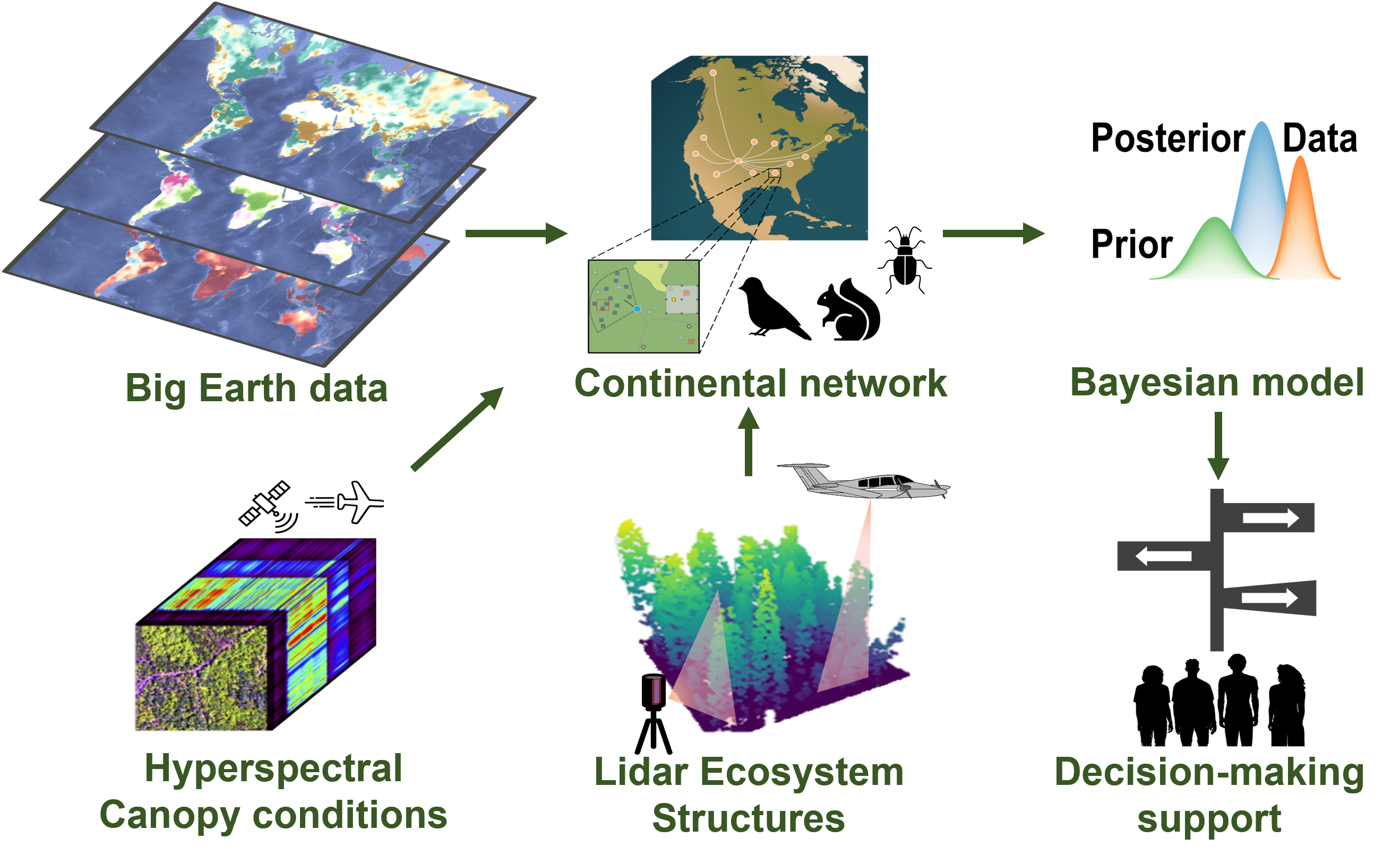 We synthesize satellite and airborn remote sensing with ecological monitoring network with Bayesian hierarchical models to understand how habitat modulate climate change impacts on biodiversity and develop decision-making support tools to conserve multiple species groups (e.g., ground beetles, small mammals, and birds).